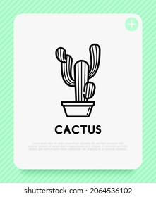 Cactus in pot thin line icon. Ilustración vectorial moderna de la planta doméstica.