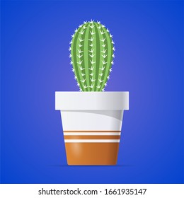 Cactus in a pot, with thorns
