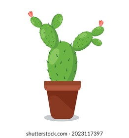 A cactus in a pot with thorns and flowers drawn in a vector, a ready-made illustration on a white background in a children's style.