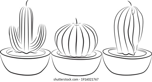 cactus in pot vector art outline