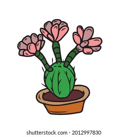 Cactus en una olla. Ilustración infantil vectorial de cactus mexicanos sobre fondo blanco. Para carteles, postales y pegatinas