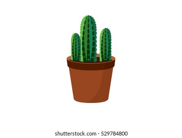 Cactus in a pot vector. Green cactus vector illustration. Cactus on a white background