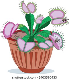 Cactus in a pot vector illustration