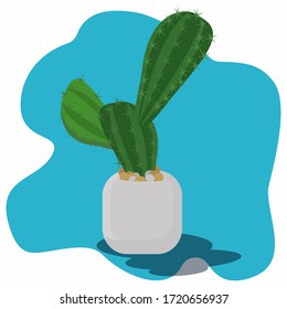 Cactus in a pot vector illustration. Decorative plants concept