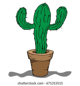 Cactus in a pot. Vector illustration cactus. Hand drawn cactus.