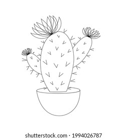  Cactus in a pot vector illustration isolated on white background. Succulent outline. Cute cartoon cacti exotic plant. Black white plant whith flowers. Suitable for coloring book, wallpaper, textile.
