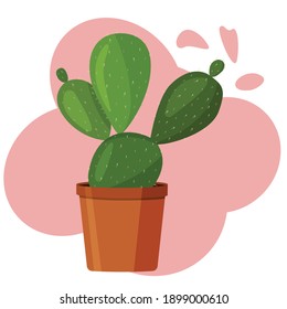 Cactus In A Pot. Vector image in a flat style. Colorful drawing of a room cactus on a pink background.