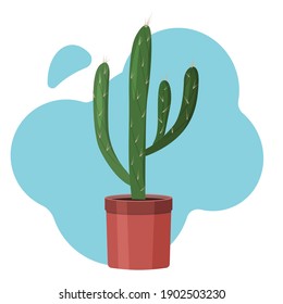 Cactus In A Pot. Vector image in a flat style. Colorful drawing of indoor cactus on a blue background.