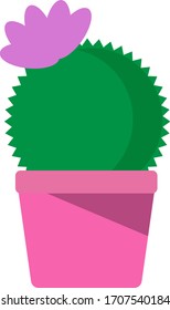 Cactus in a pot vector on a white background