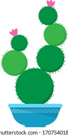 Cactus in a pot vector on a white background