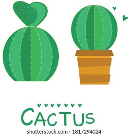 Cactus and  pot vector on white background