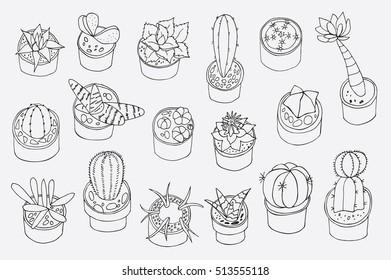 cactus in pot vector set