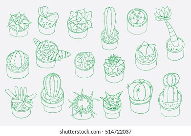cactus in pot vector set