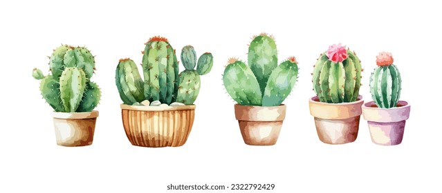 Cactus in pot watercolor isolated on white background. Set of greenery cactus flower plant painting vector illustration