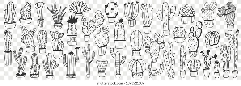 Cactus in pots doodle set