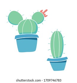 Cactus in pots. Green plants isolated on a white background