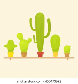 Cactus in pots on shelf