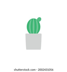 cactus in pots on white background