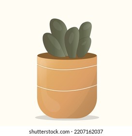 Cactus in pots. Simple cartoon vector style.