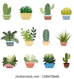 Cactus in pots vector set