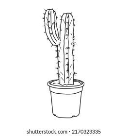 cactus and pot,sketch, white background vector illustratio