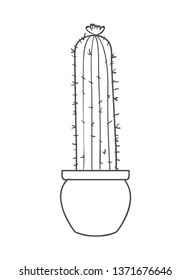 cactus with potted isolated icon
