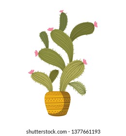 cactus with potted isolated icon