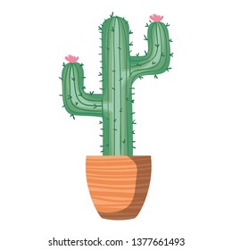 cactus with potted isolated icon