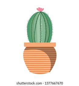 cactus with potted isolated icon
