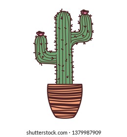 cactus with potted isolated icon