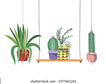 cactus with potted on shelf isolated icon