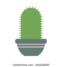 cactus with potted on white background vector illustration design