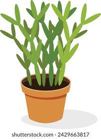 Cactus potted plant flat icon, indoor decoration accessory  