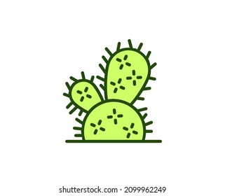 Cactus premium line icon. Simple high quality pictogram. Modern outline style icons. Stroke vector illustration on a white background. 
