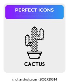 Cactus with prickles in pot thin line icon. Modern vector illustration of home plant.