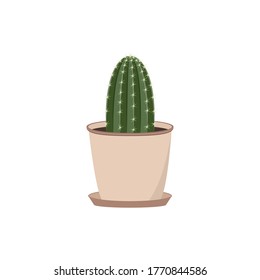 Cactus. Prickly pear in a pot. The Mexican plant. Isolated on a white background.