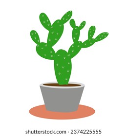 Cactus. prickly cactus trees in small pots as home decoration