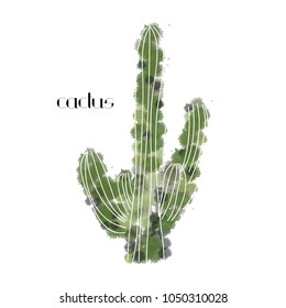Cactus print with texts in vector