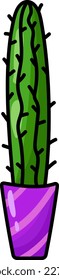 un cactus en una olla morada