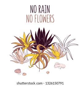 Cactus quote. Vector illustration. Summer tropical plants with text No rain, no Flowers. Bohemian sketch flower style. Greeting card, poster, social media post