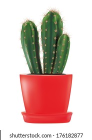  Cactus in a red flowerpot