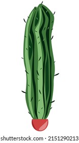 Cactus in a red pot vector illustration.