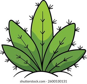 Cactus resembling an agave or aloe plant, with pointed green leaves and small black spines, growing from the ground