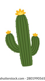 Cactus and ribbed arms