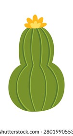 Cactus and rounded ribs