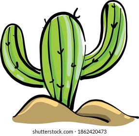 Cactus in sand, illustration, vector on white background.