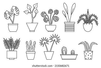 Cactus, sansevieria, monstera, fern, hanging flower. Houseplants in line contour flower pots set. Urban jungle decor. For interior, botany, house decoration, web and app design. Vector illustration