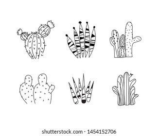 Cactus In the sea there are many types.Is a hand draw work that can be used.
Vector work or art work,