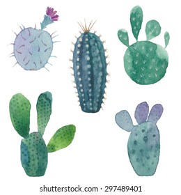 Cactus seamless pattern on white background. Vector, watercolor hand drawn set illustration.