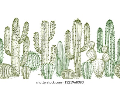 Cactus seamless pattern. Sketch desert cactuses plants endless border for western landscape vector illustration